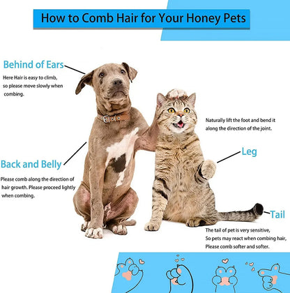 Dog Hair Remover Brush Cat Dog